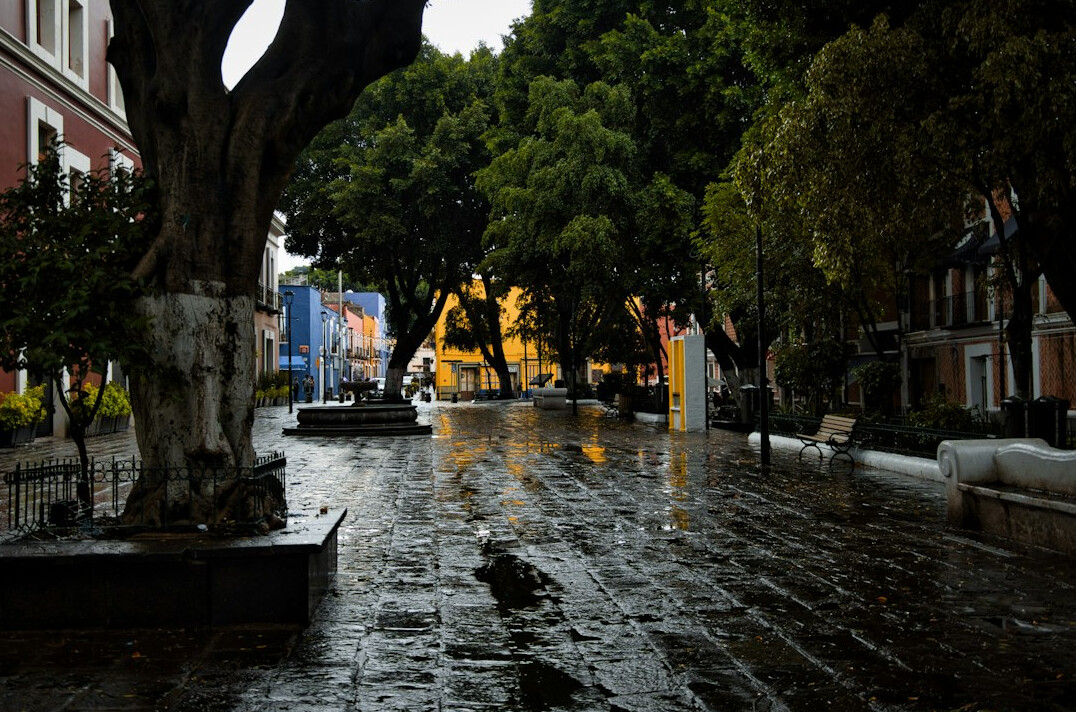 Rainy cobblestone street at night in an old South American city
